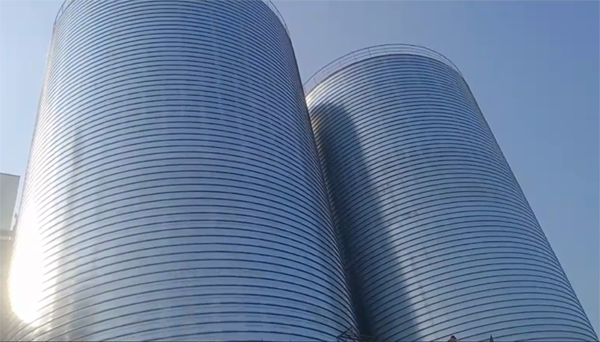 柳河2座混凝土高架卷板仓